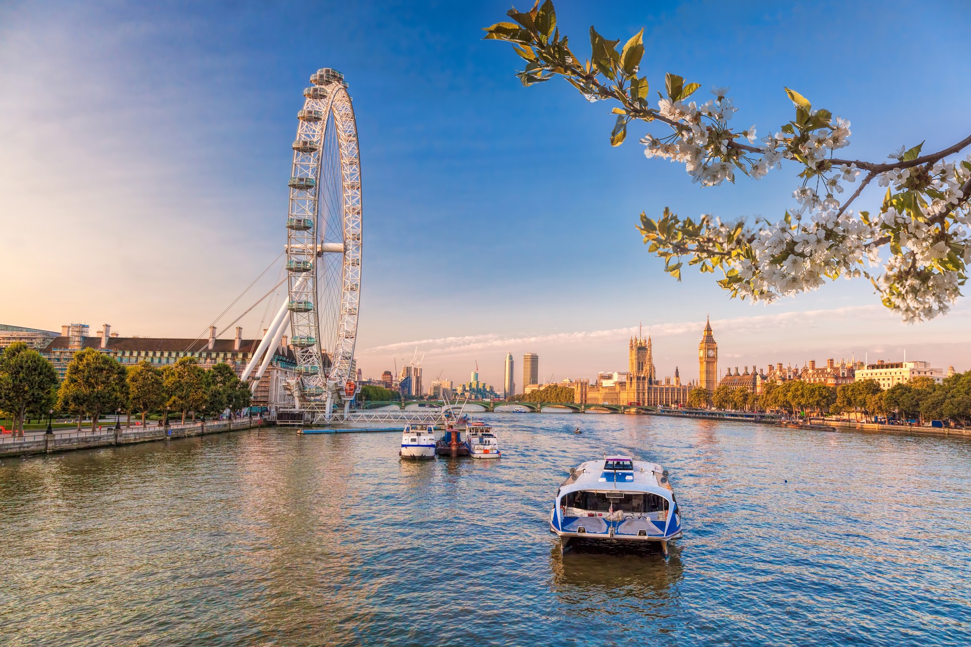 Sunrise with Big Ben, Palace of Westminster, London Eye, Westminster Bridge, River Thames during springtime in London, England, UK